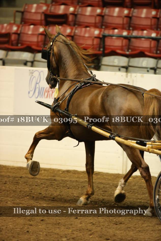 Proof 18BUCK_03095