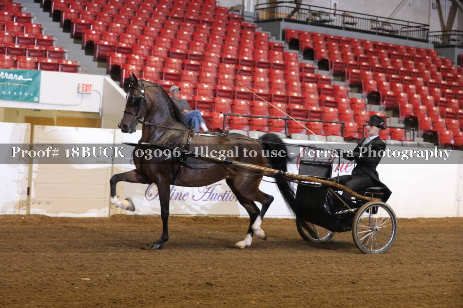Proof 18BUCK_03096