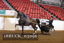 18BUCK_03096 proof