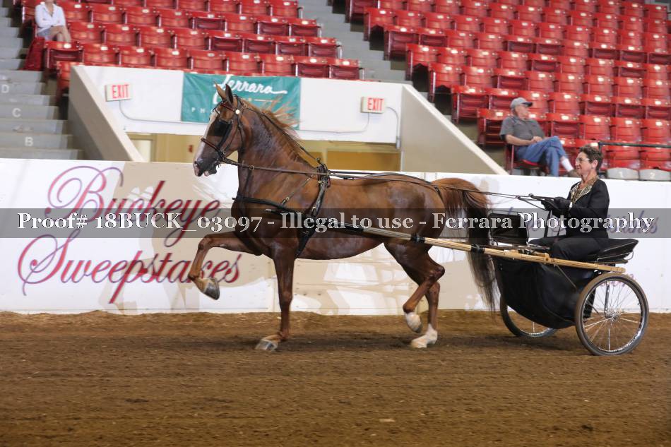 Proof 18BUCK_03097
