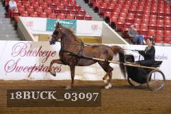 18BUCK_03097 proof