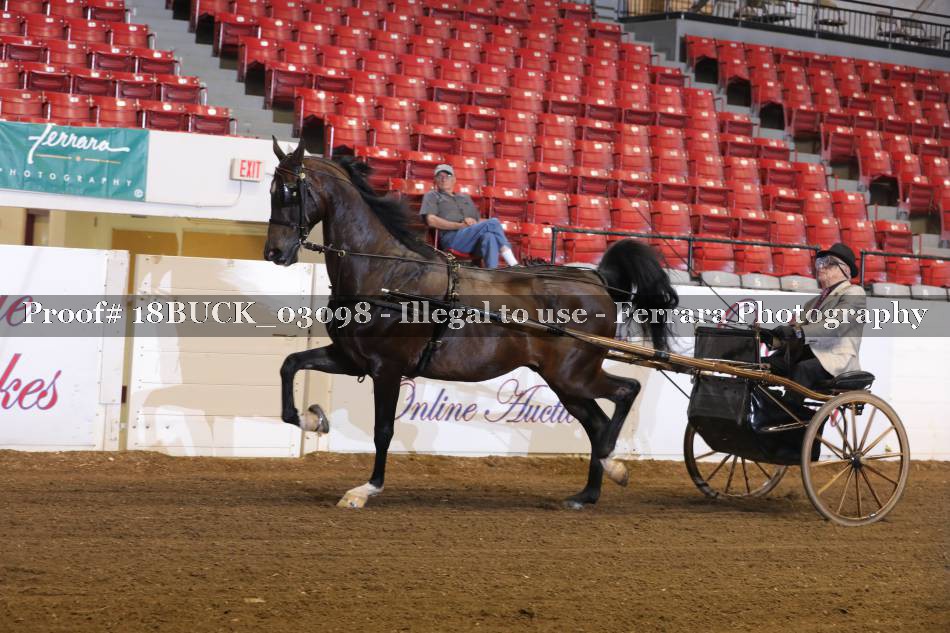 Proof 18BUCK_03098