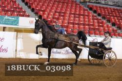 18BUCK_03098 proof
