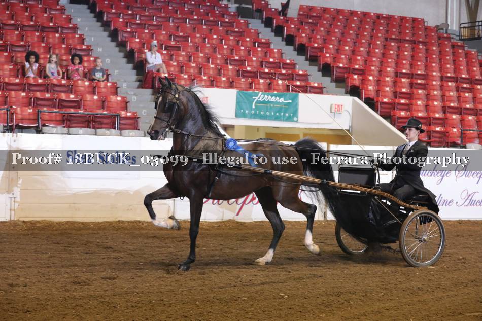 Proof 18BUCK_03099
