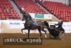 18BUCK_03099 proof