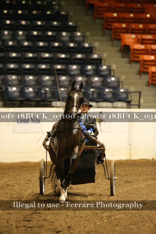 Proof 18BUCK_03100