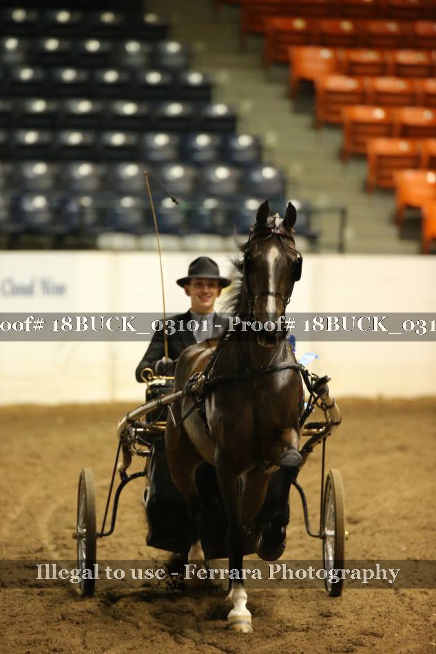 Proof 18BUCK_03101