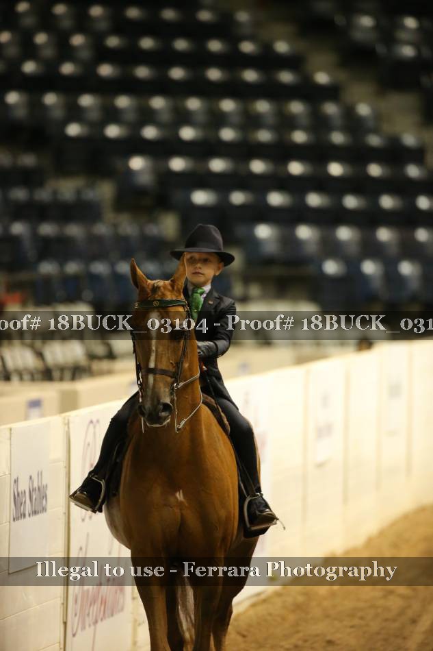 Proof 18BUCK_03104