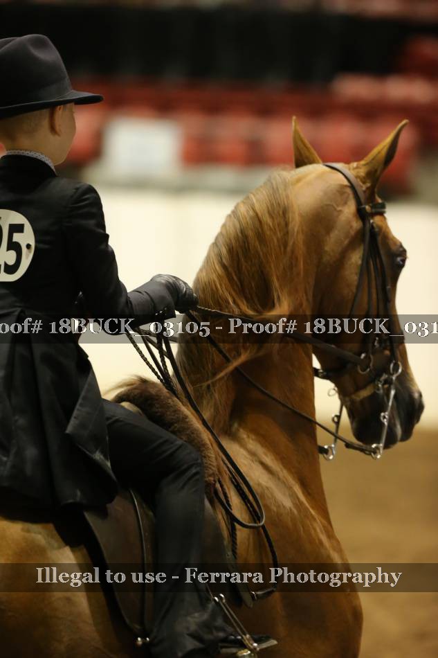 Proof 18BUCK_03105