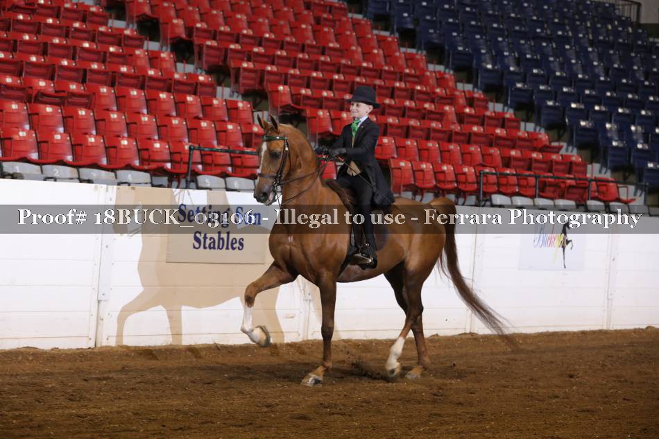 Proof 18BUCK_03106