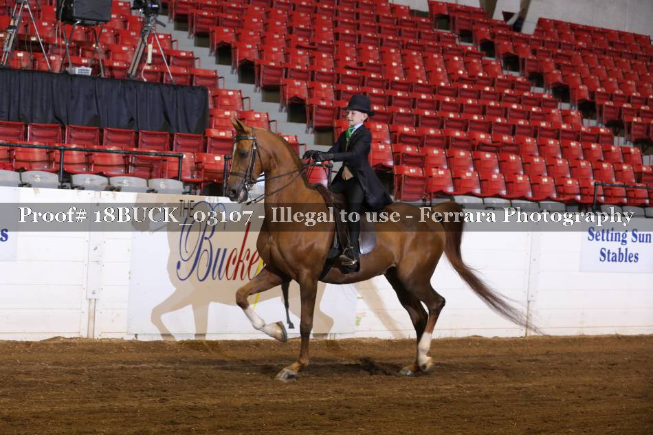 Proof 18BUCK_03107