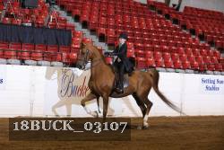 18BUCK_03107 proof
