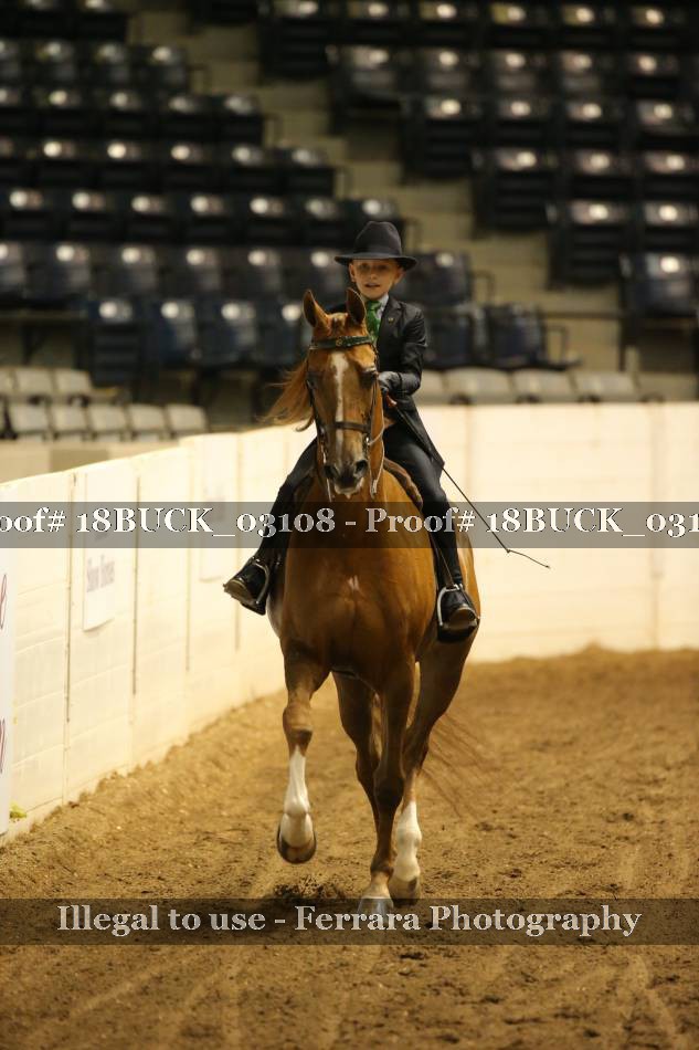 Proof 18BUCK_03108