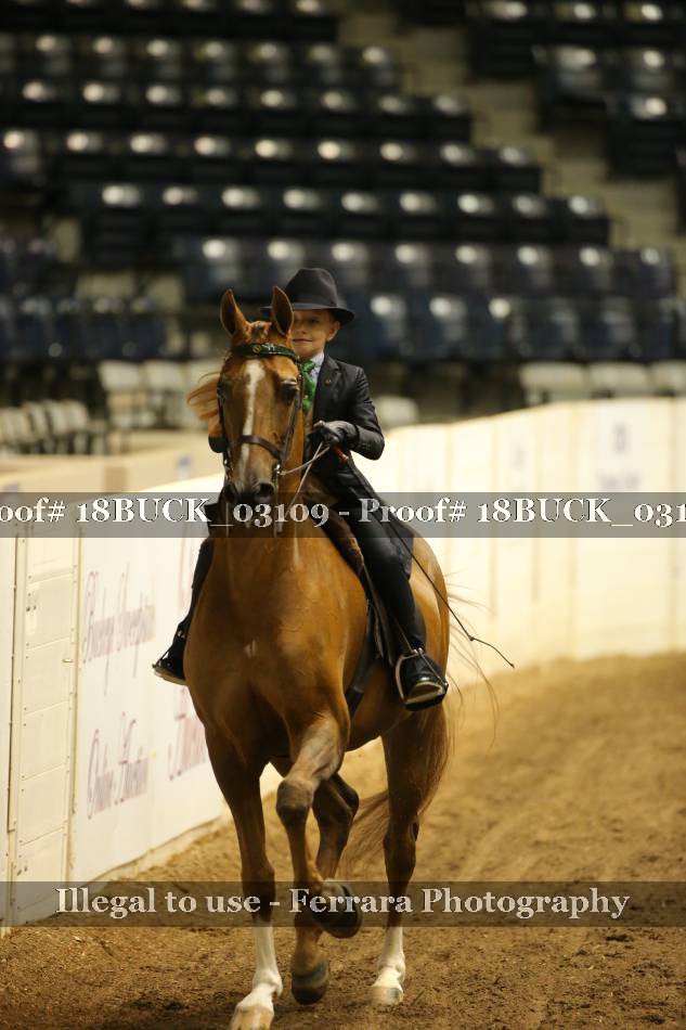 Proof 18BUCK_03109