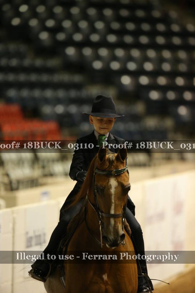 Proof 18BUCK_03110
