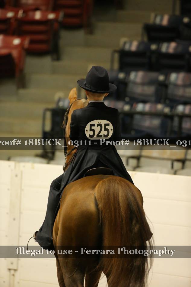 Proof 18BUCK_03111