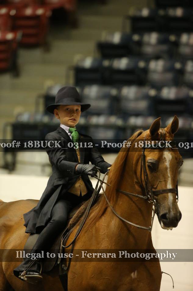 Proof 18BUCK_03112
