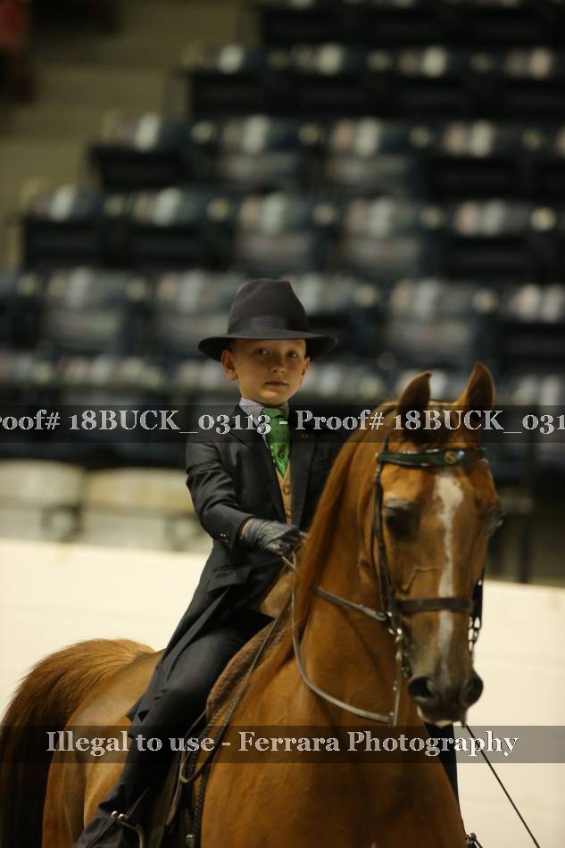 Proof 18BUCK_03113