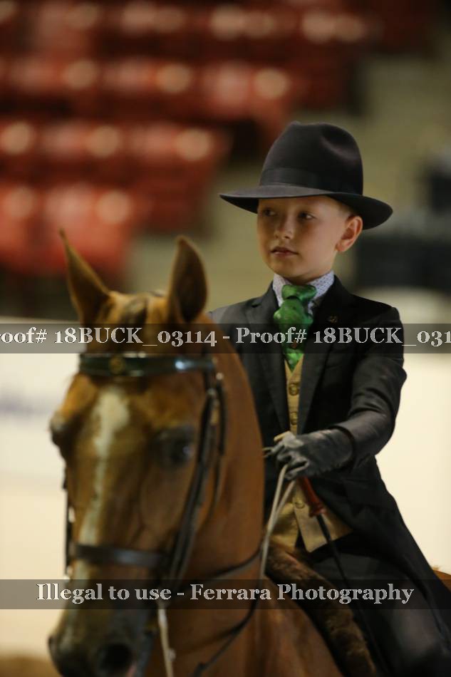 Proof 18BUCK_03114