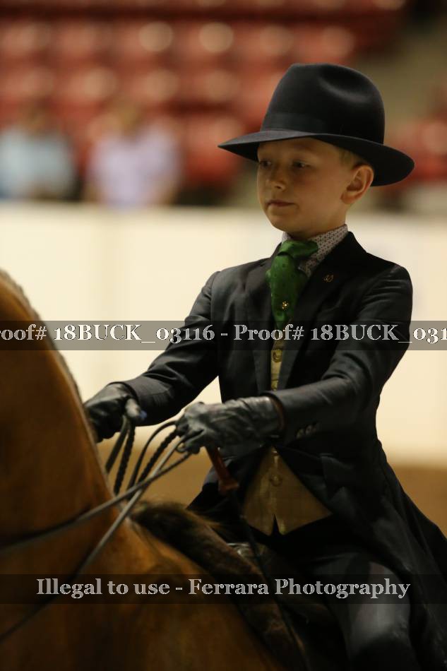 Proof 18BUCK_03116