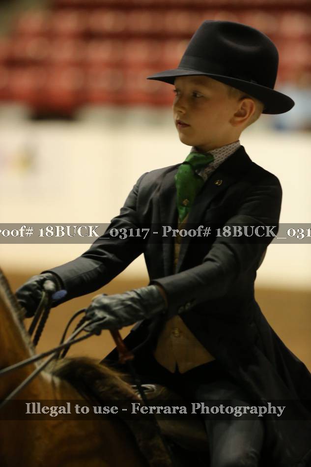 Proof 18BUCK_03117