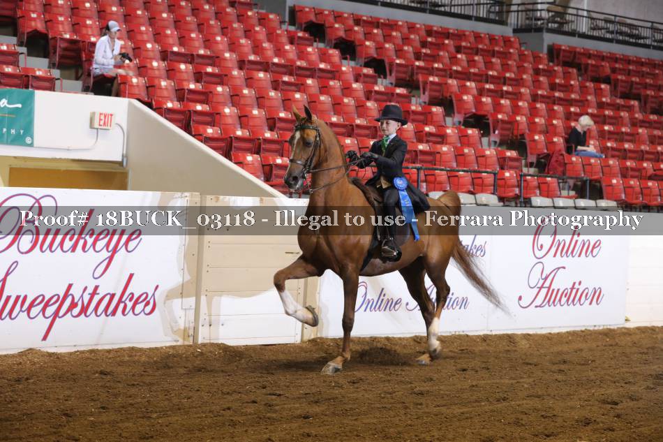 Proof 18BUCK_03118