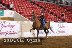 18BUCK_03118 proof