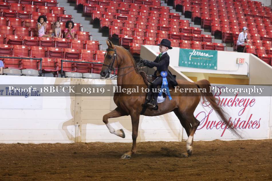 Proof 18BUCK_03119
