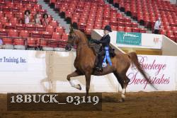 18BUCK_03119 proof