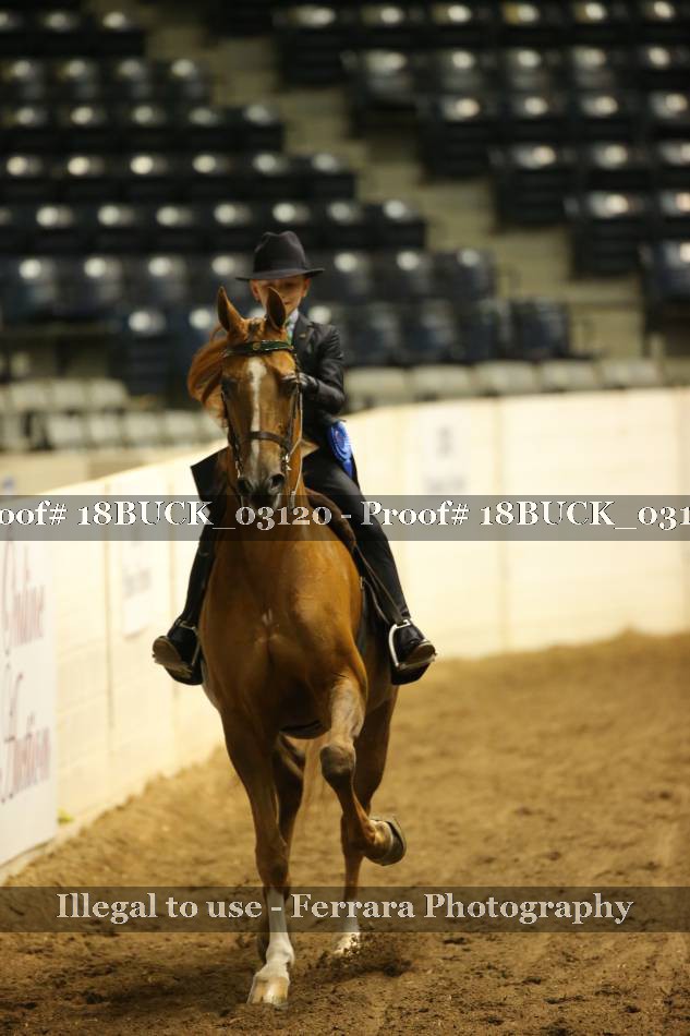 Proof 18BUCK_03120