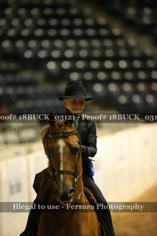 Proof 18BUCK_03121