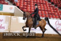 18BUCK_03122 proof