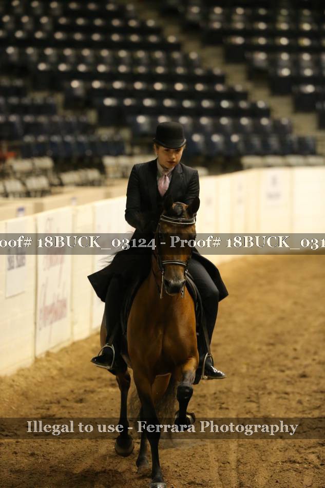 Proof 18BUCK_03124