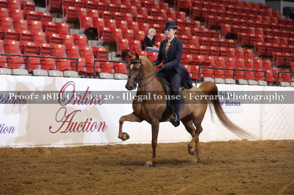 Proof 18BUCK_03126