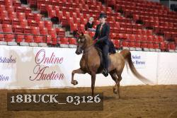 18BUCK_03126 proof