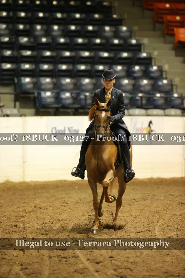 Proof 18BUCK_03127