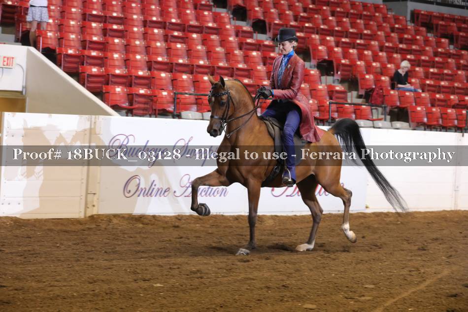 Proof 18BUCK_03128