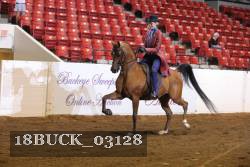 18BUCK_03128 proof