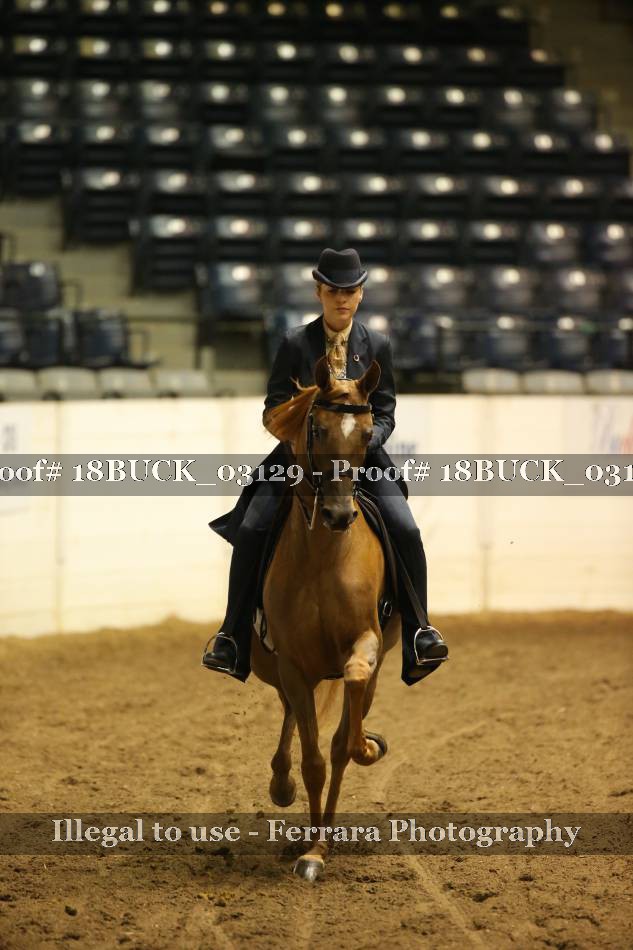 Proof 18BUCK_03129
