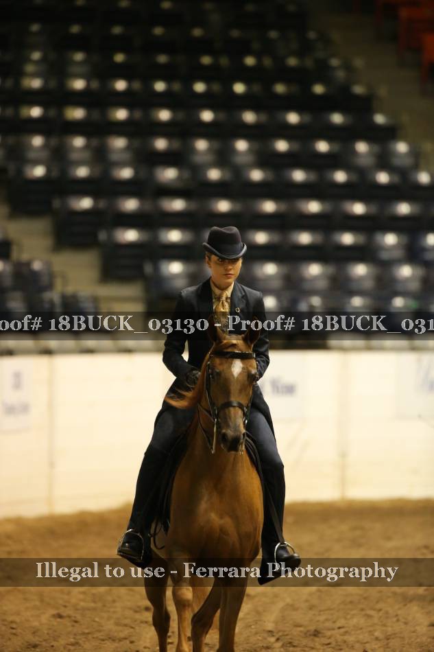 Proof 18BUCK_03130