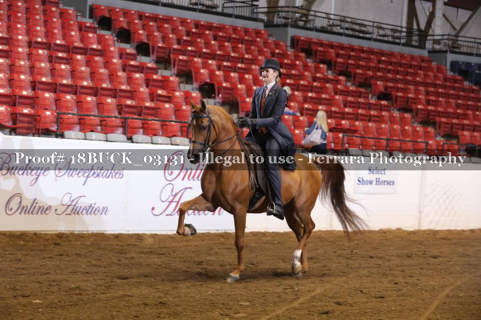 Proof 18BUCK_03131
