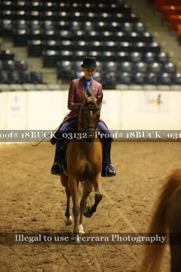 Proof 18BUCK_03132