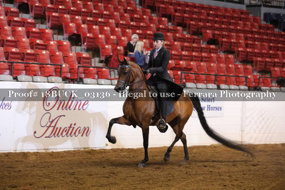 Proof 18BUCK_03136