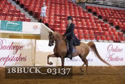 18BUCK_03137 proof