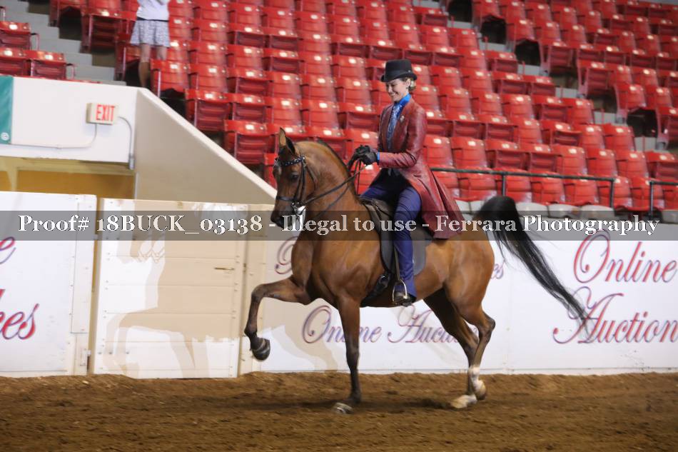 Proof 18BUCK_03138