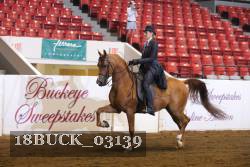 18BUCK_03139 proof
