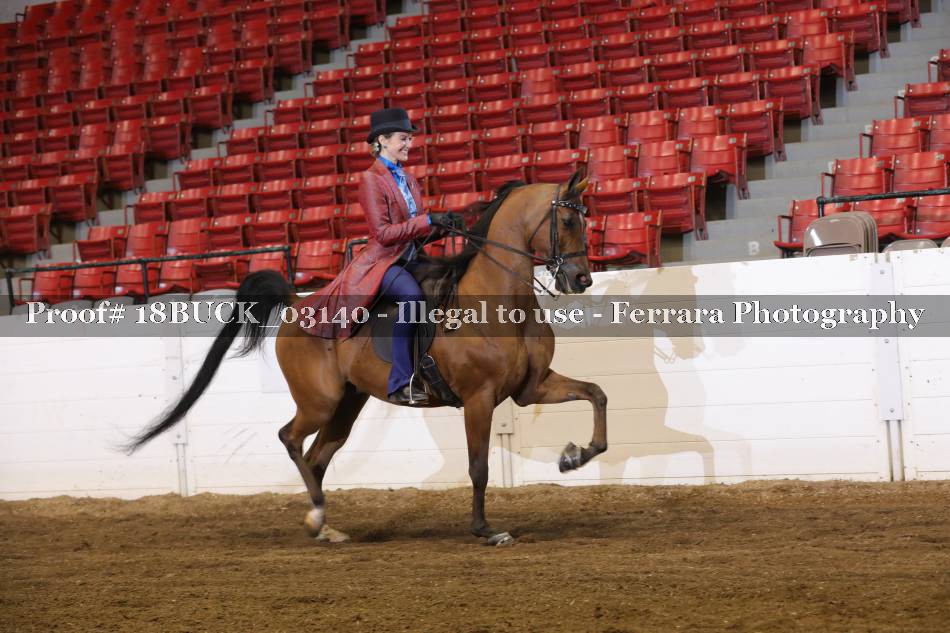 Proof 18BUCK_03140
