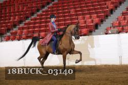 18BUCK_03140 proof