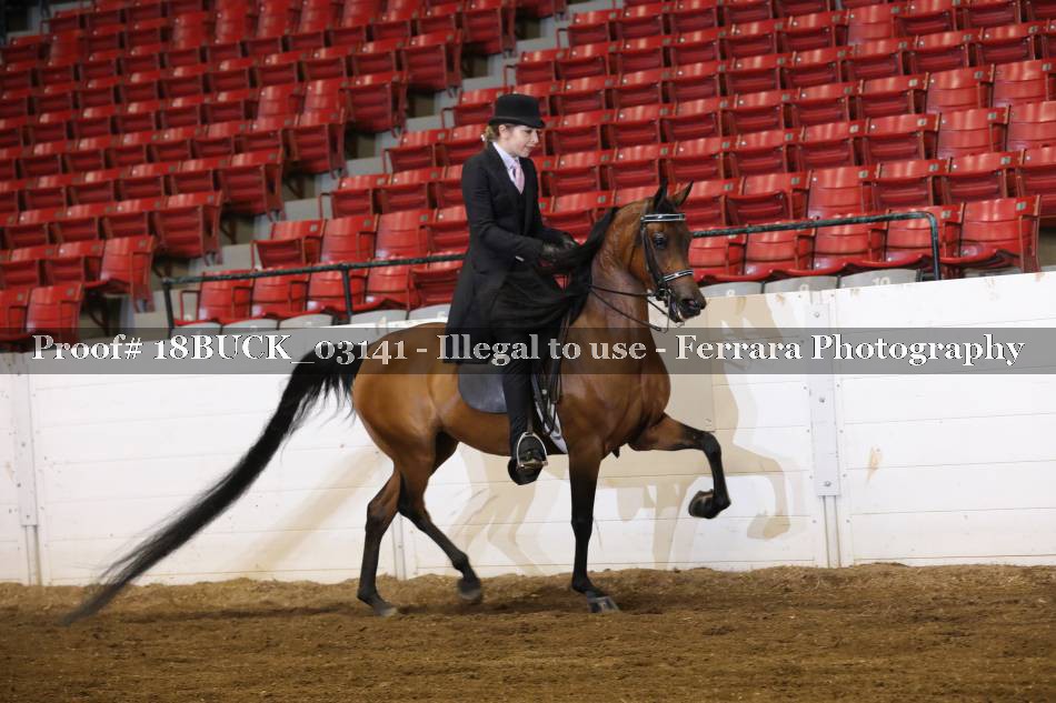 Proof 18BUCK_03141