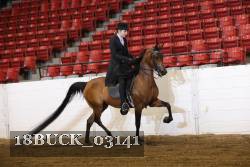 18BUCK_03141 proof